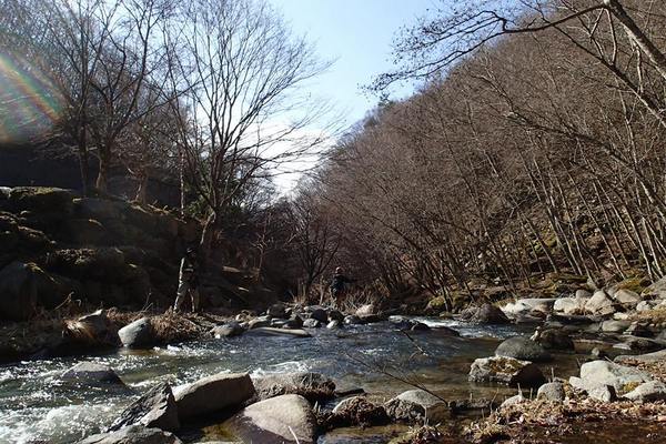 アマゴとイワナが混生する日川渓谷