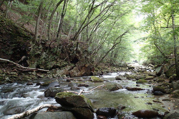 空気がひんやりと冷たい日川渓谷