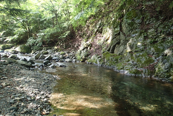 山の日の鹿留川
