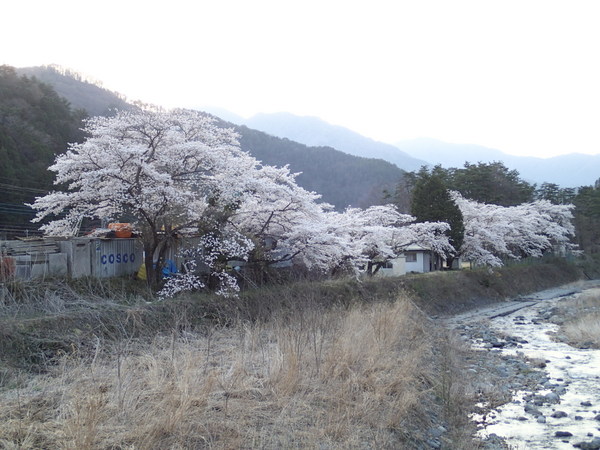 【釣行データ】2017年04月16日(日)：鹿留川